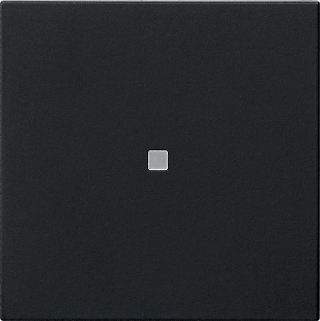 Wippe 1-fach 5371005