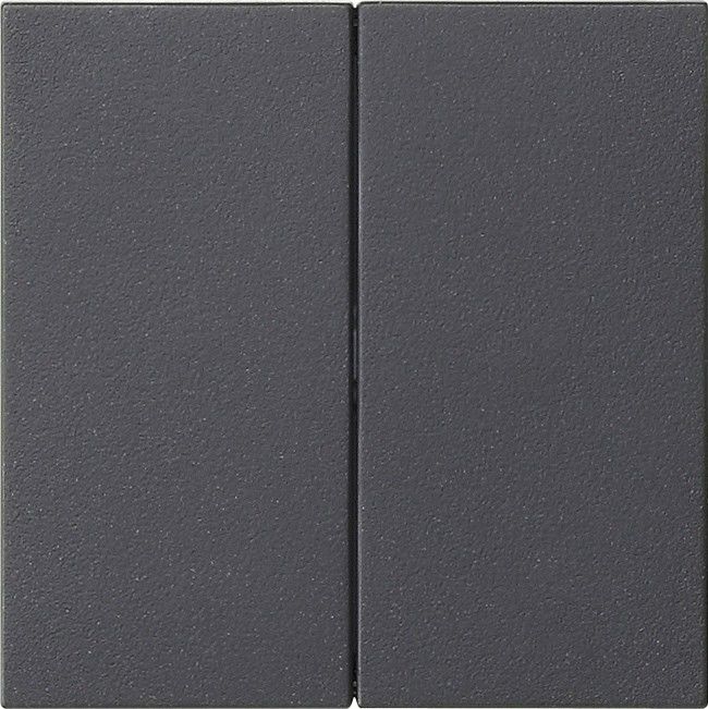 Wippe 2-fach 537028