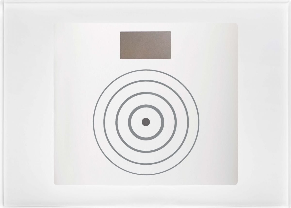 Türöffner-Modul SM 1168/45W Türöffner-Modul SM 1168/45W