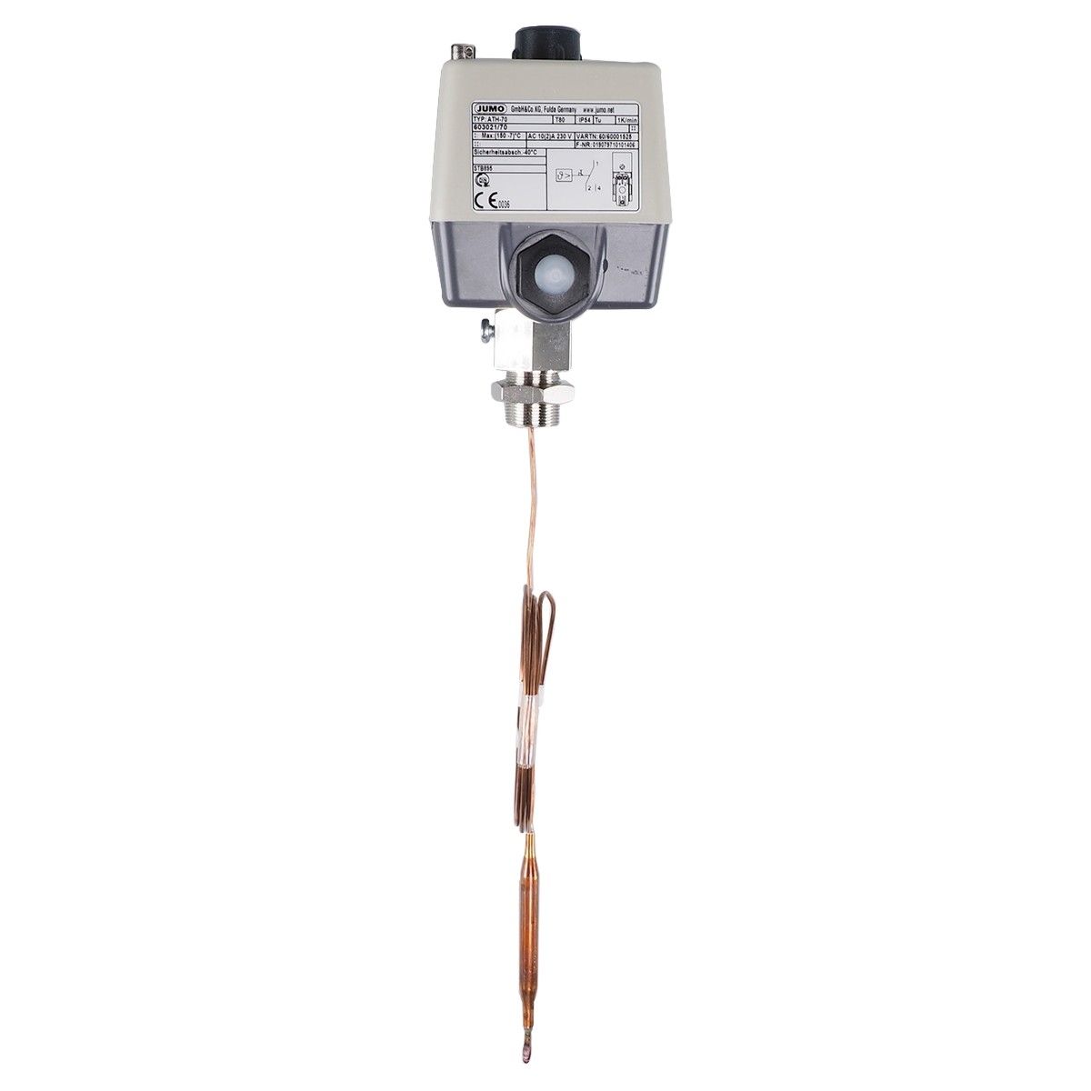 Sicherheitstemp.begrenzer 60002099