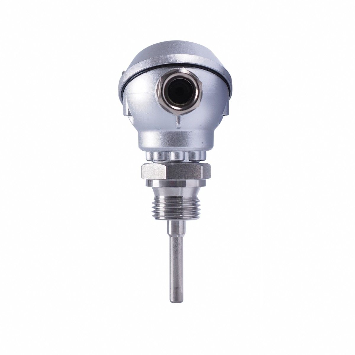 Widerstandsthermometer 00533448