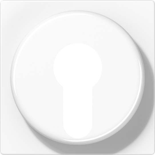 Abdeckung A528PLSWM