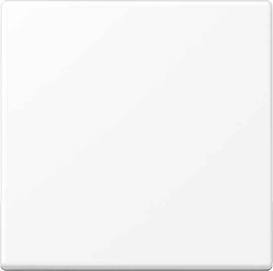 Blind-Abdeckung A594-0PLWWM Blind-Abdeckung A594-0PLWWM