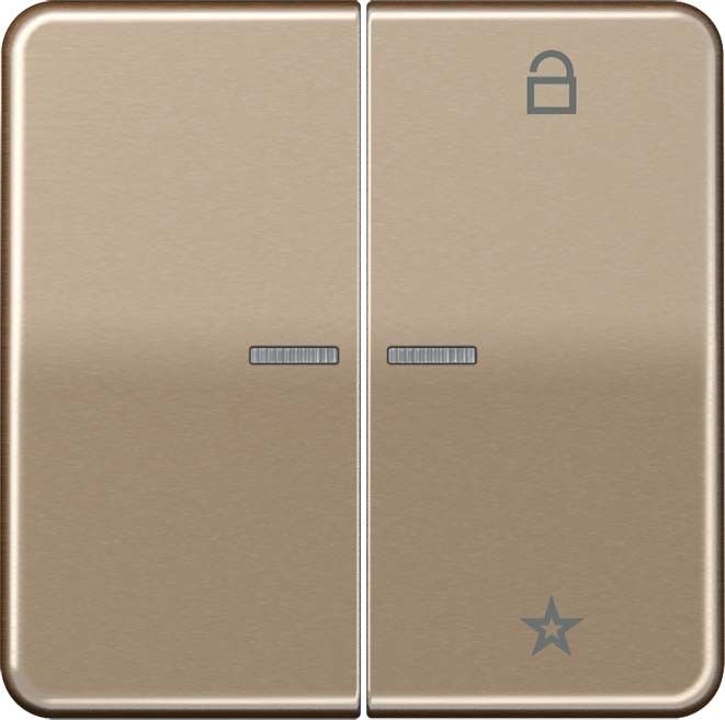 eNet Funk-Steuertaste FM CD 1701 GB