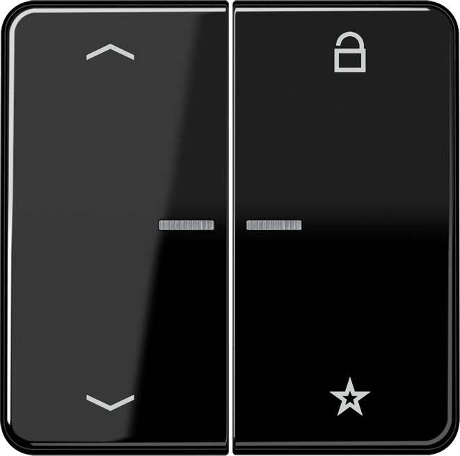 eNet Funk-Steuertaste FM CD 1701 P SW