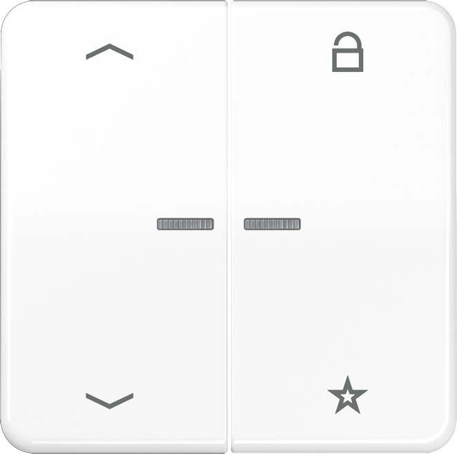 eNet Funk-Steuertaste FM CD 1701 P WW