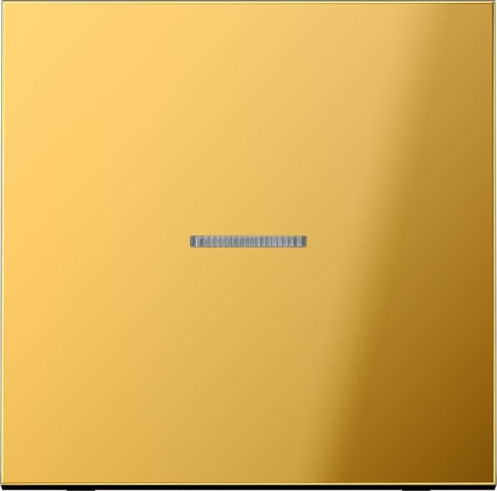 eNet Funk-Steuertaste FM GO 1700