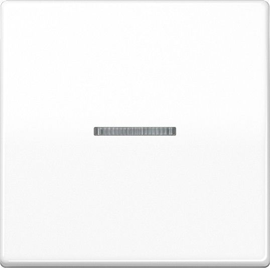 KNX RF Taster 1fach AS 10911 ST RF WW