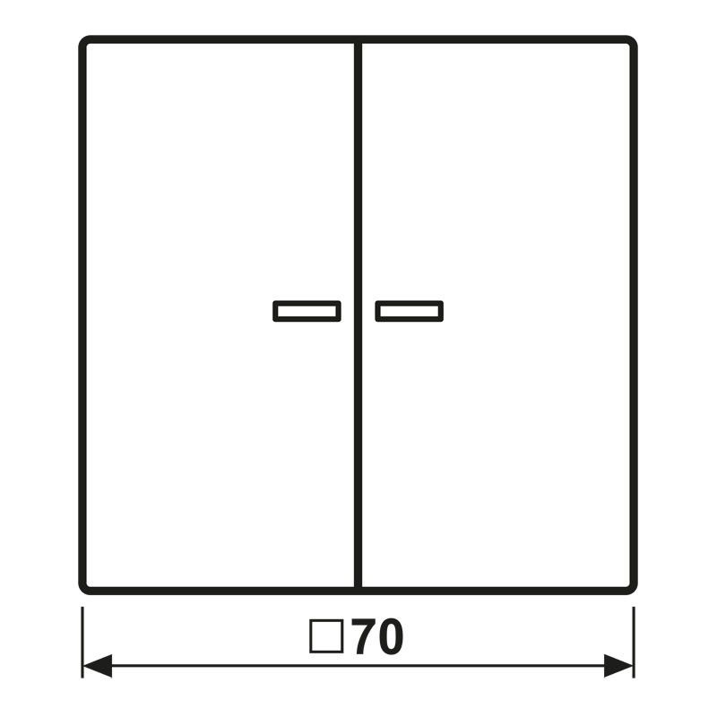 KNX RF Taster 2fach LS 10921 ST RF SWM
