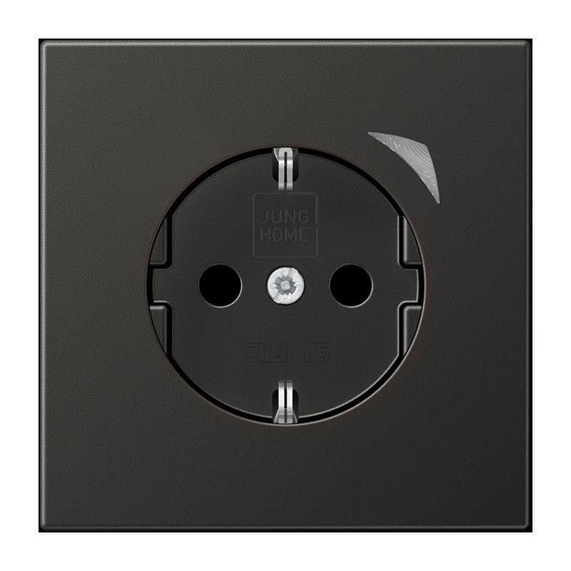 SCHUKO Steckdose 16 A 250V BT AL 1521 SE AN-L