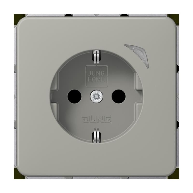 SCHUKO Steckdose 16 A 250V BT CD 1521 S PT