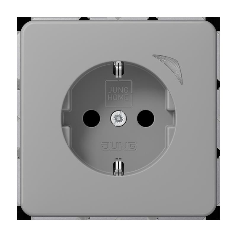 SCHUKO Steckdose 16 A 250V BT CD 1521 SE GR