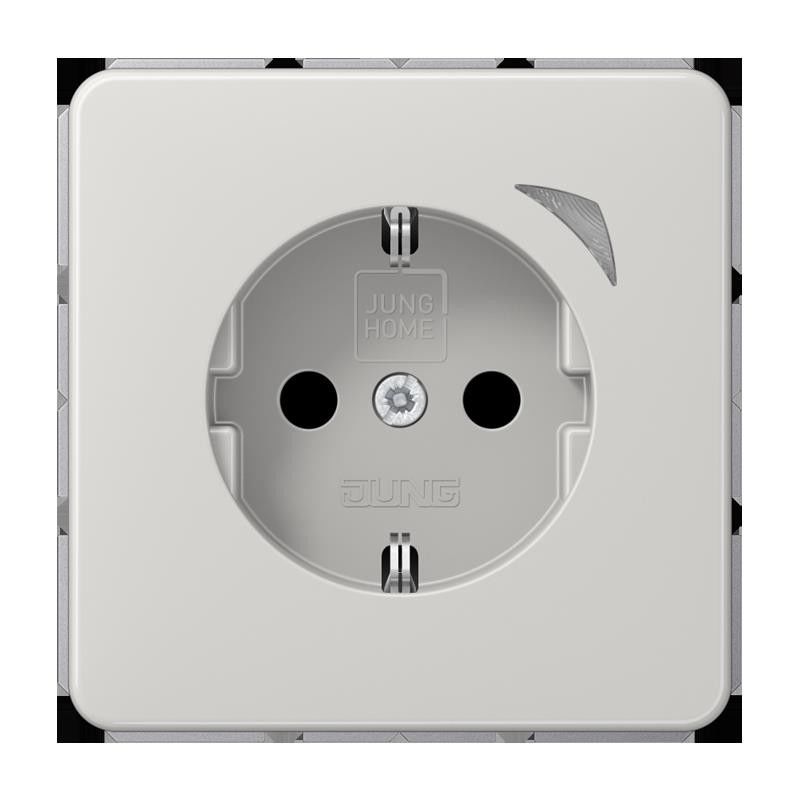 SCHUKO Steckdose 16 A 250V BT CD 1521 SE LG