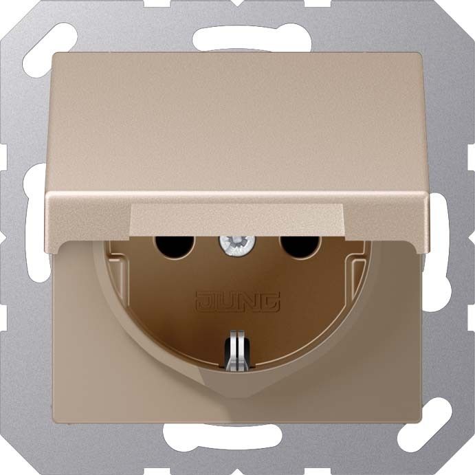 SCHUKO Steckdose A 1521 BFKL CH