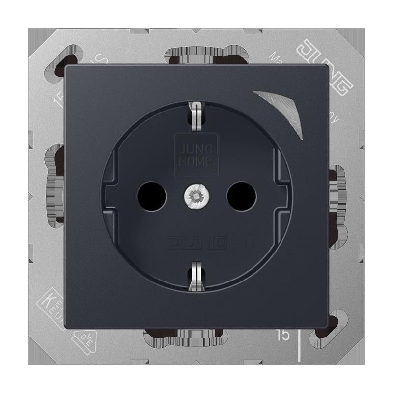 SCHUKO Steckdose BT A 1521 S ANM