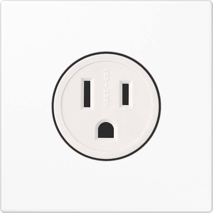 Steckdose US-Norm NEMA LS 521-15 WW
