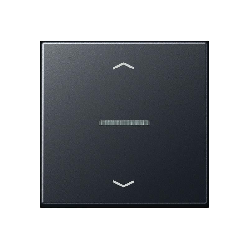 Taster 1fach BT A 17101 BF P ANM