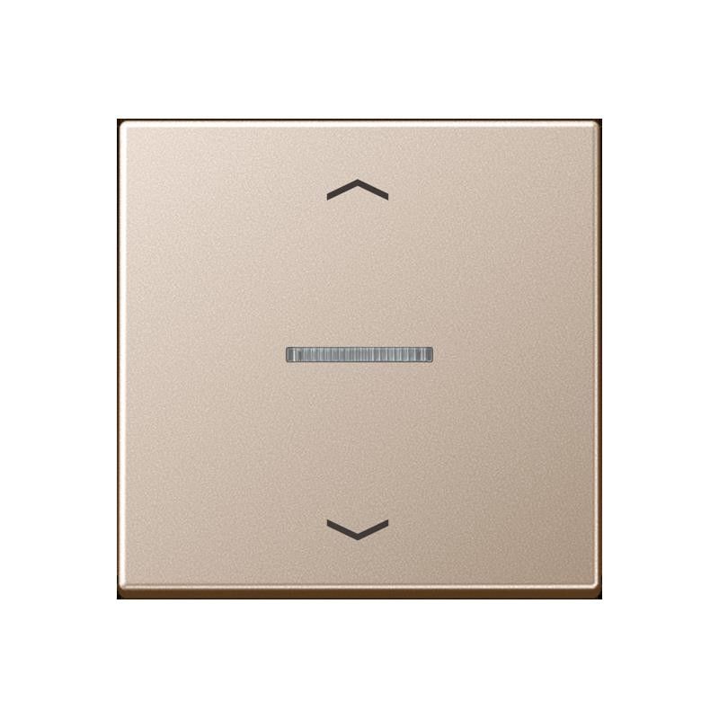 Taster 1fach BT A 17101 P CH