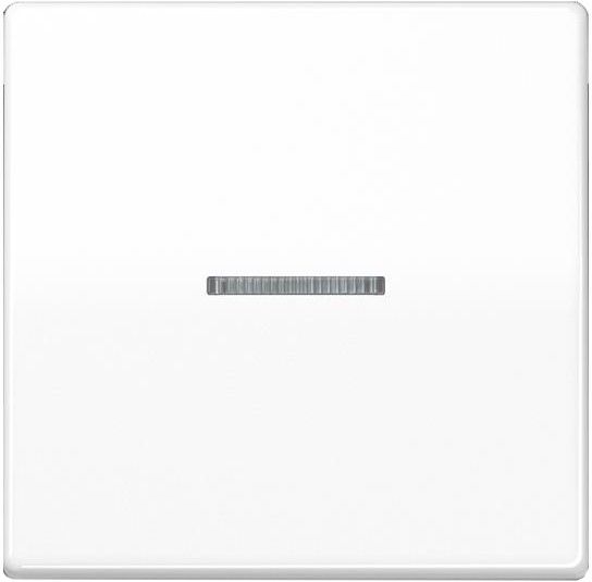 Taster 1fach BT AS 17101 WW