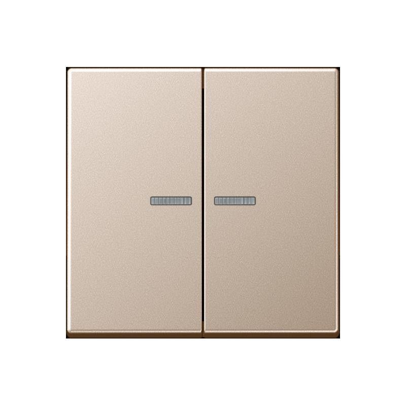 Taster 2fach BT A 17102 CH