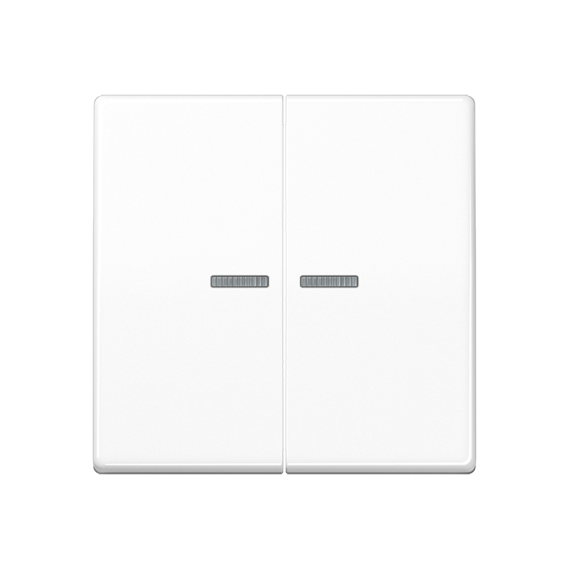 Taster 2fach BT AS 17102 P WW