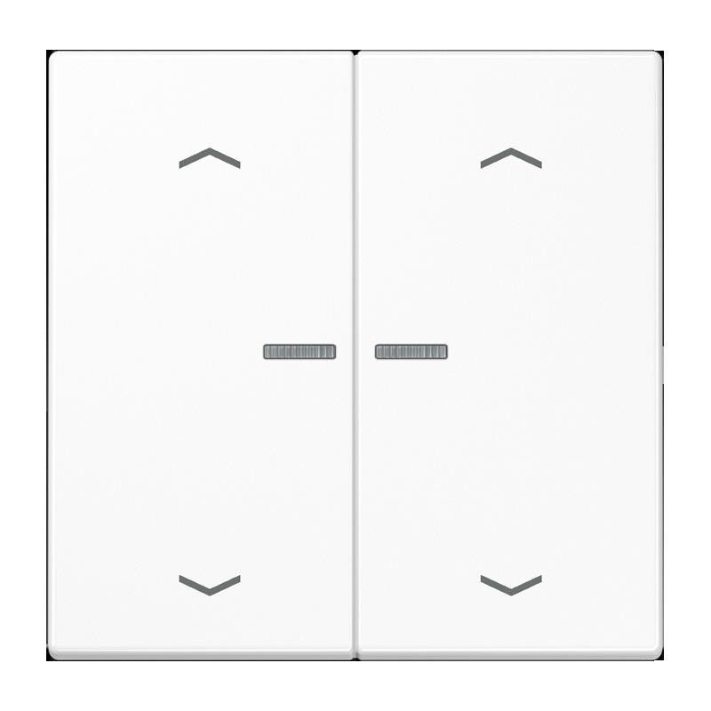 Taster 2fach BT LS 17102 P WW