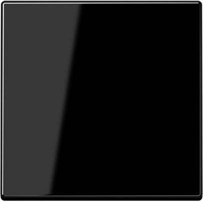 Wippe 1-fach A 590 BF SW