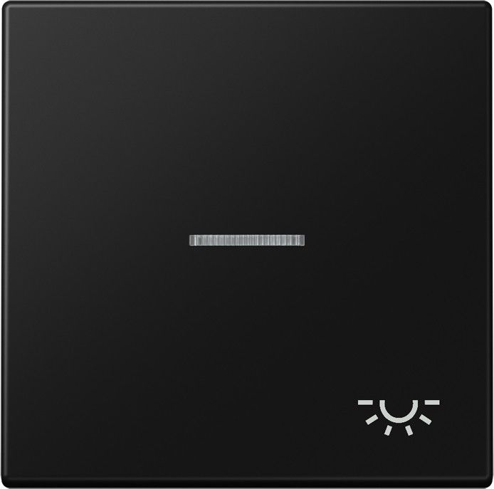 Wippe 1-fach LS 990 KO5 L SWM