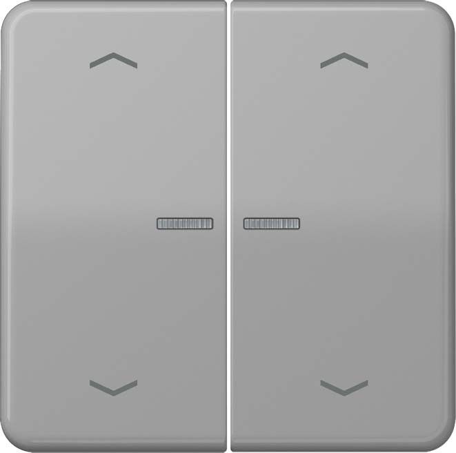 Wippe CD102KO5PGR grau
