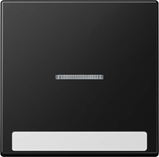 Wippe mit Schriftfeld A 590 BF NA KO5 SWM