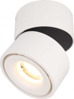 LED-Downlight DLEX-R-100-830-34-W