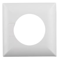 Clip-Designrahmen 92991