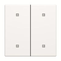 Wippe 2-fach 2570-20-884