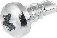 Blechschraube 191315