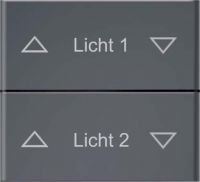 Doppelwippe DW-FF8-anth-lack-at