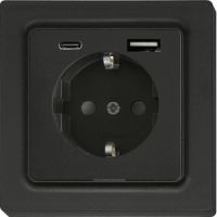 Schutzkontakt-Steckdose DSS55E+USBA+C-am