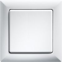 Wippschalter WS55-rw