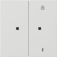Jalousie-/Schaltuhr 5381112