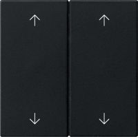 Wippe 2-fach 5387005