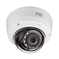 IP Dome-Kamera VK 1099/561