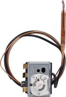 Sicherheitstemp.begrenzer 60002995
