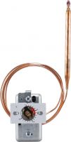 Thermostat 60000213