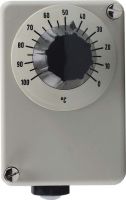 Thermostat 60001548
