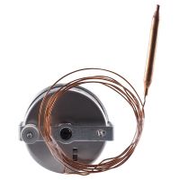 Zeigerthermometer 00491078