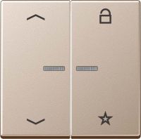 eNet Funk-Steuertaste FM A 1701 P CH