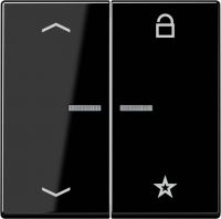 eNet Funk-Steuertaste FM A 1701 P SW