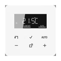 Raumthermostat BT CD 1791 WW