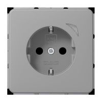 SCHUKO Steckdose 16 A 250V BT CD 1521 SE GR