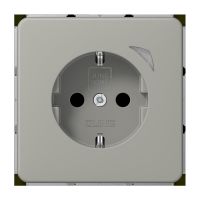 SCHUKO Steckdose 16 A 250V BT CD 1521 SE PT