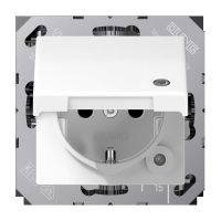 SCHUKO Steckdose 16 A 250V SPAS 1520 KL WW